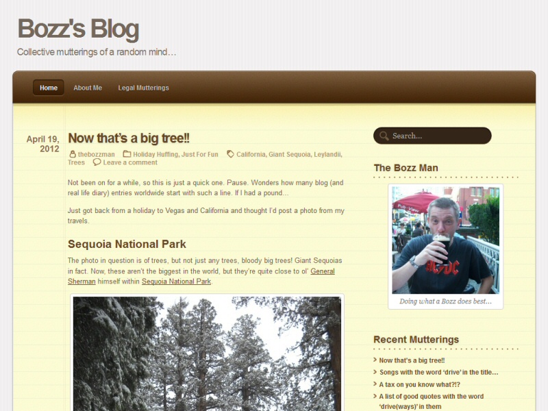 Bozz's Blog Website, © EasierThan Website Design